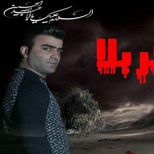 یاسر زارع غریب کربلا